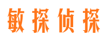 阿瓦提侦探公司